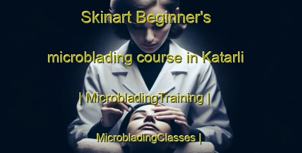 Skinart Beginner's microblading course in Katarli | MicrobladingTraining | MicrobladingClasses | SkinartTraining-Turkey